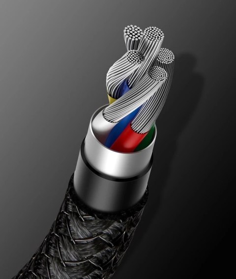 Baseus kabel USB Typ C - USB Typ C szybkie ładowanie Power Delivery Quick Charge 100 W 5A 2m czarny (CATWJ-A01)