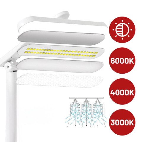 Lampka biurkowa LED nocna lampa USB na biurko dotykowa regulowana organizer i stojaki na telefon biała
