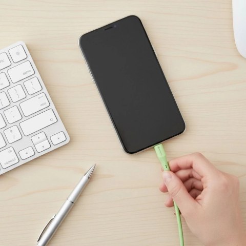 Kabel USB-C - USB-C 100W Forcell F-Energy Silicone 1 m C347 zielony