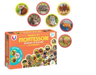 Magnes zwierzęta Euroazji 36szt 50mm Montessori MAKSIK DOB1094K