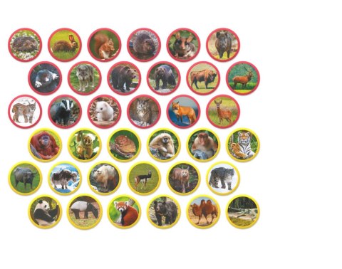 Magnes zwierzęta Euroazji 36szt 50mm Montessori MAKSIK DOB1094K