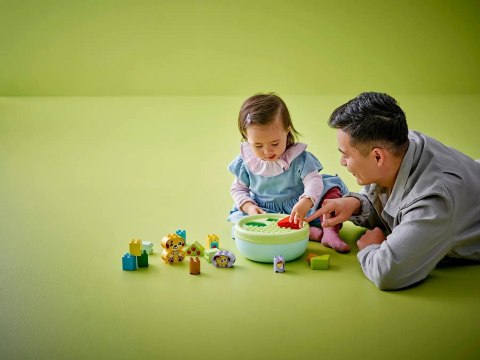 LEGO DUPLO 10441 Sorter kształtów: dom szczeniaczków