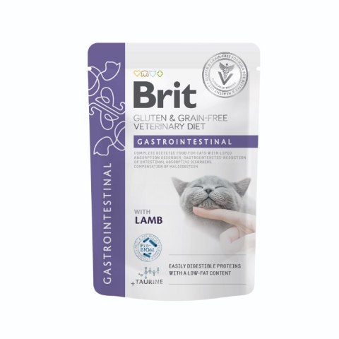 Brit VD Cat Pouch fillets in Gravy Gastrointest 12x85g