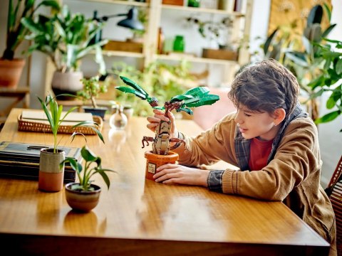 LEGO Harry Potter 76433 - Mandragora