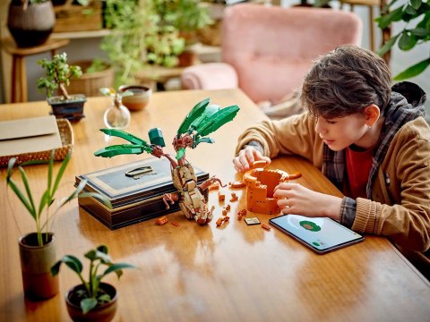 LEGO Harry Potter 76433 - Mandragora