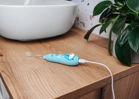 Szczoteczka soniczna niebieska ZK3020 CONCEPT