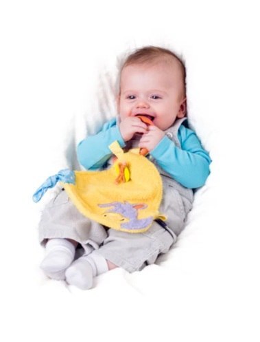 GRZECHOTKA GRYZAK Z KOCYKIEM OSIOLEK LAKI 15X27