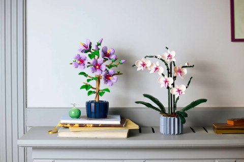 LEGO The Botanical Collection 10372 - Hibiskus