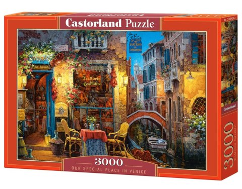Puzzle 3000 elementów Our Special Place in Venice CASTORLAND C-300426