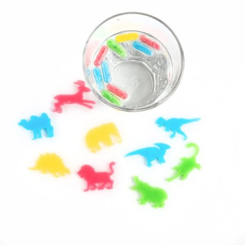 KAPSULKOWE ZWIERZAKI TAJEMNICZE 12SZT DERF B/C