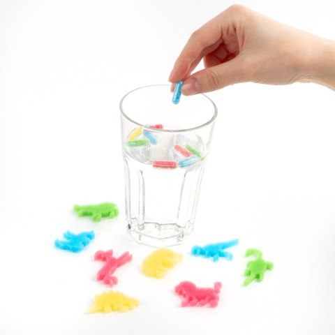 KAPSULKOWE ZWIERZAKI TAJEMNICZE 12SZT DERF B/C