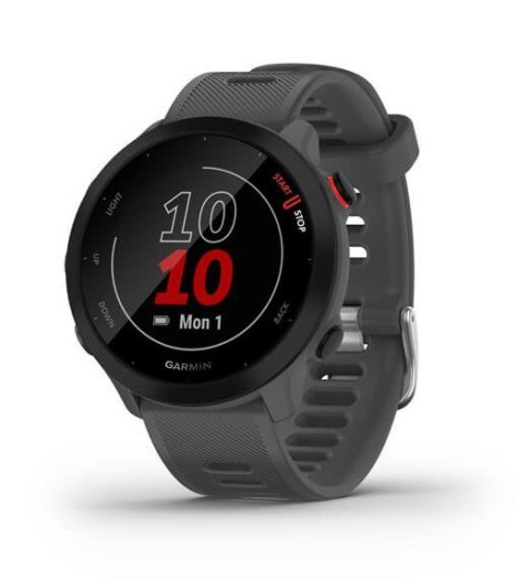 Zegarek Garmin Forerunner 55, 42mm szary