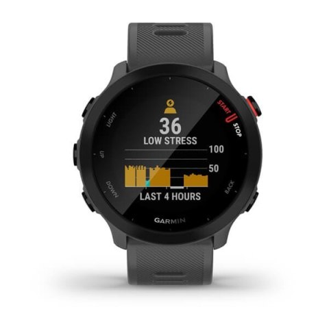 Zegarek Garmin Forerunner 55, 42mm szary