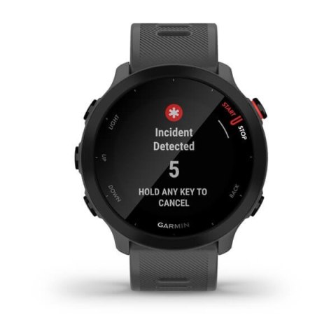 Zegarek Garmin Forerunner 55, 42mm szary
