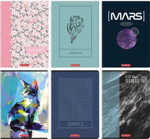 ZESZYT HERLITZ MIX A4/60K KRATKA Z MARGINESEM