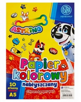 Papier kolorowy A5/10k błyszczący A 10 ASTRA 106025003