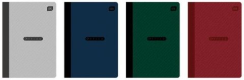 Zeszyt A5/60k kratka 810 A 10 ASTRA 102024010