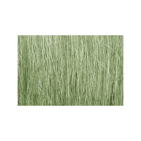 Woodland WFG173 TRZCINA - Light Green Field Grass (dł. 5,08