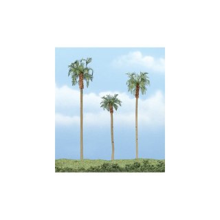 Woodland WTR1617 3-4 1/2" Prem Royal Palm 3/Pk