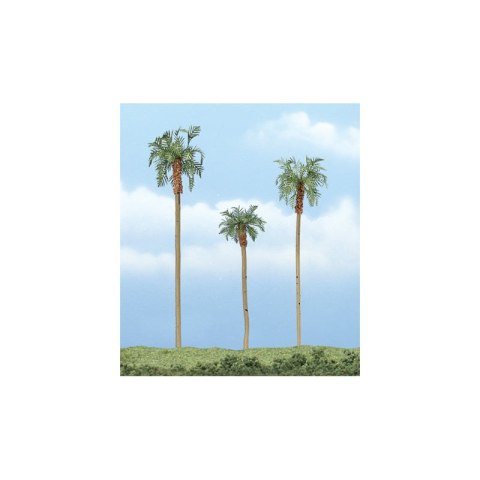 Woodland WTR1617 3-4 1/2" Prem Royal Palm 3/Pk