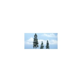 Woodland WTR1619 2 1/2-5 1/8" Prem Juniper 3/Pk