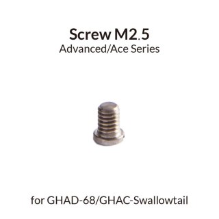 Gaahleri 41291 Screw M2,5 for GHAD-68 & Swallowtail