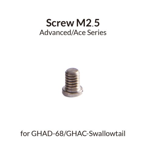 Gaahleri 41291 Screw M2,5 for GHAD-68 & Swallowtail