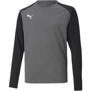 Bluza bramkarska dla dzieci Puma teamPACER GK LS Jersey szara 704939 43