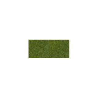 Heki 30911 Heki 30911 Mata trawa ciemnozielona 75x100 cm