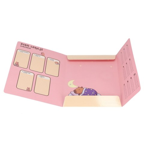 Teczka z gumką A4 Kapibara mix STARPAK 583303