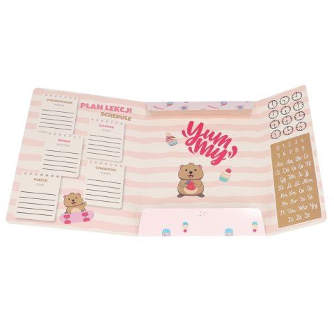 Teczka z gumką A4 Kuoka mix STARPAK 583304