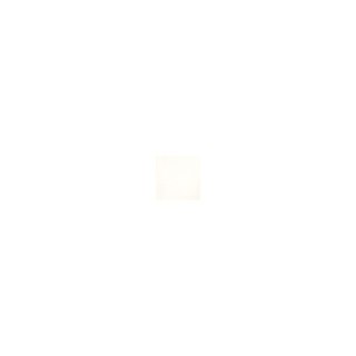 Vallejo 70522 Satin Varnish MC194