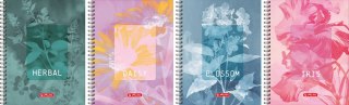 Kołozeszyt HERLITZ STANDARD BLOSSOM A4 80 kartek kratka