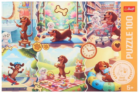Puzzle 100 elementów Długi dzień Jamnika TREFL 16567 TR
