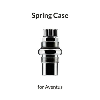 Gaahleri 47347 Aventus Silver Spring Case