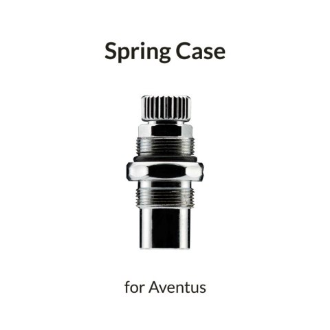 Gaahleri 47347 Aventus Silver Spring Case