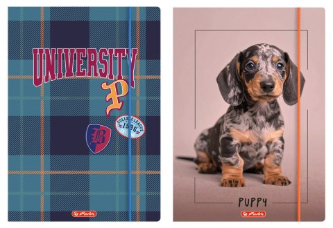 Teczka z gumką HERLITZ C4