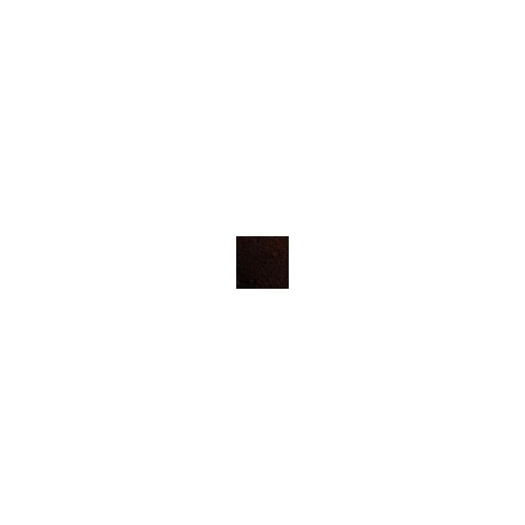 Vallejo 73110 Pigment Burnt Umber