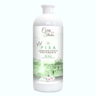 DITALIA konc.d/płukania 1000ml Pisa/6 - 8054729636103