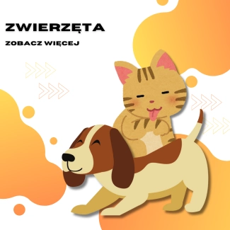 Zwierzęta